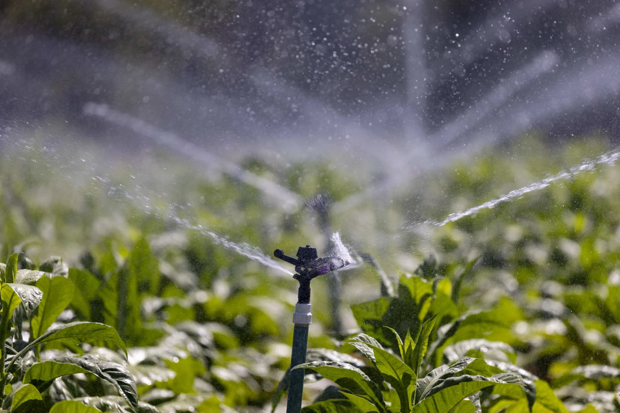 Irrigation & Water Systems