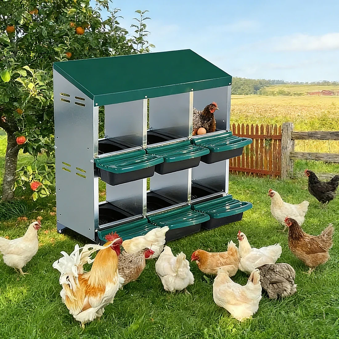 Livestock & Poultry Supplies